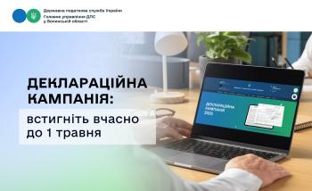 Деклараційна кампанія добігає кінця