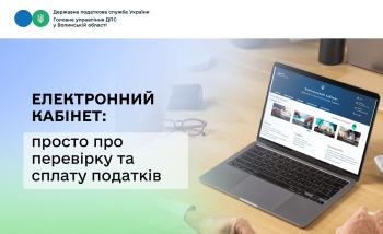 Електронний кабінет: просто про перевірку та сплату податків