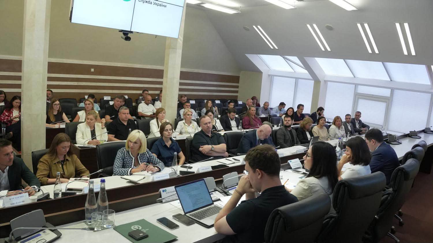 Леся Карнаух: ДПС підготувала комплекс податкових заходів для допомоги постраждалому бізнесу. Фото № 2/1