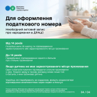 Понад 417 тисяч е-Карток платників податків оформили українці через Дію. Фото № 4/3